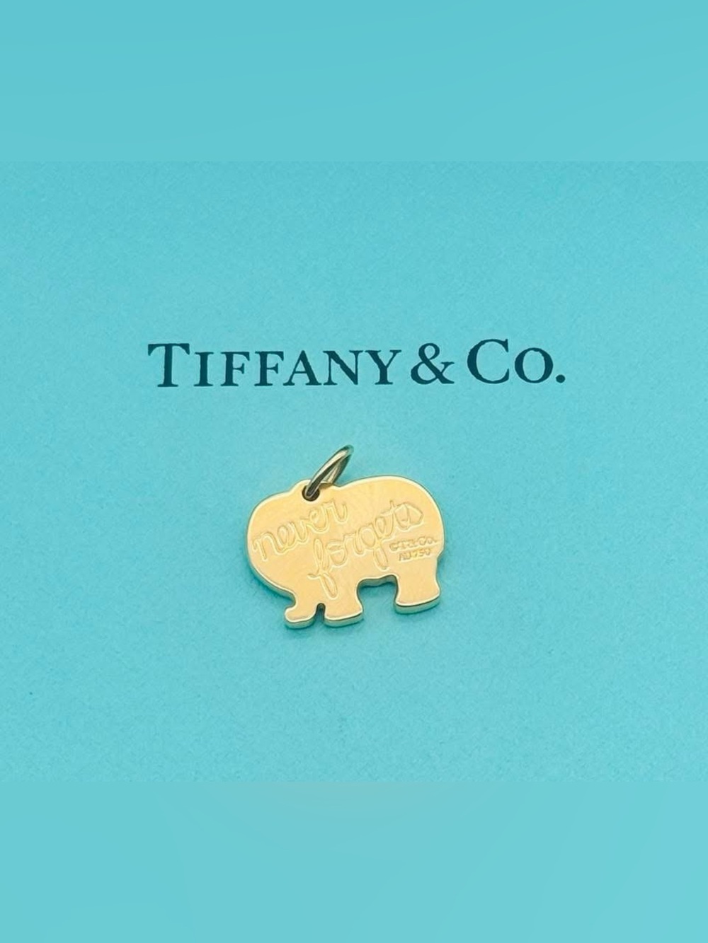 Tiffany & Co.
Elephant Never Forgets” Rose Gold Charm - Picture 4 of 8